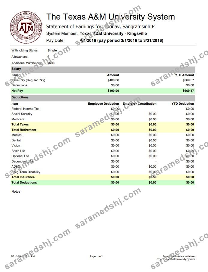 The Texas A&M University System Earnings statement Word and PDF template